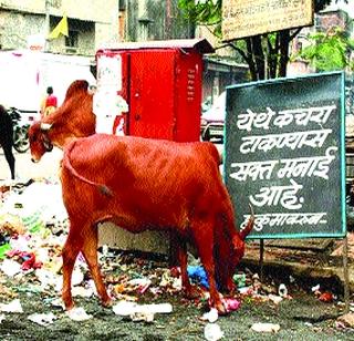What is pollution? | प्रदूषण कशा कशाचे? What is pollution? | प्रदूषण कशा कशाचे?