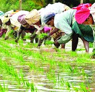 Become a hybrid or! | जलसाक्षर बनू या! Become a hybrid or! | जलसाक्षर बनू या!