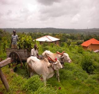 Agro eco-tourism movements speed! | अँग्रो इको-टुरिझम हालचालींना वेग ! Agro eco-tourism movements speed! | अँग्रो इको-टुरिझम हालचालींना वेग !