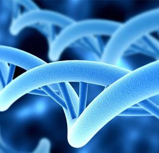 Will most advanced genetics be found in the marriages? | अतिप्रगत जनुकीयविज्ञान विवाहसंस्थेतला अडसर ठरेल का? Will most advanced genetics be found in the marriages? | अतिप्रगत जनुकीयविज्ञान विवाहसंस्थेतला अडसर ठरेल का?