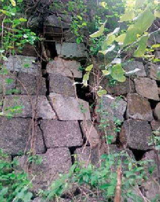 The fort has fallen on the fort | किल्ल्याच्या बुरूजाला पडल्या भेगा