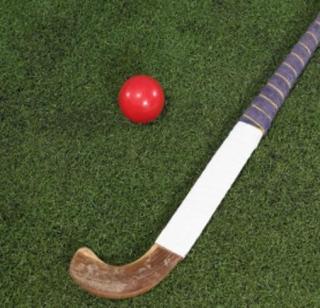 Canada defeats Canada from India | भारताकडून कॅनडा पुन्हा पराभूत Canada defeats Canada from India | भारताकडून कॅनडा पुन्हा पराभूत