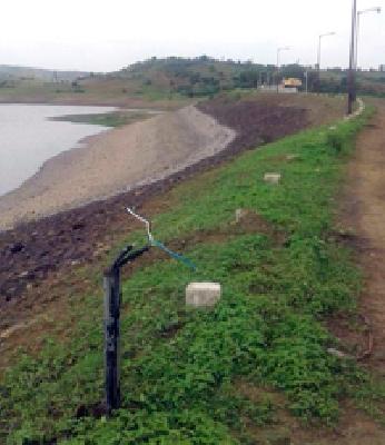 The danger of admiration in danger | शहानूरची सुरक्षितता धोक्यात