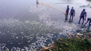 The water in the 'lake' is contaminated | ‘त्या’ तलावातील पाणी दूषित