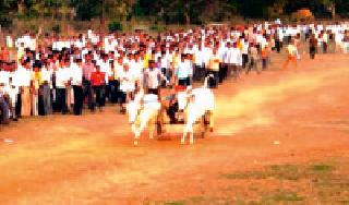 Will the bullock cart race be allowed? | बैलगाडी शर्यतींना परवानगी मिळणार का?