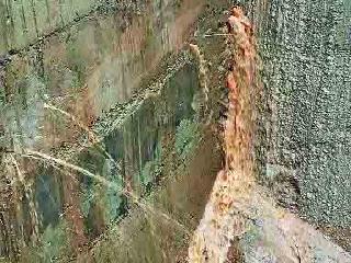 Cement binder work | सीमेंट बंधाऱ्याचे काम निकृष्ट