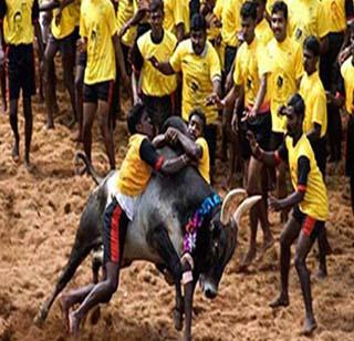 'So what happened'? | ‘म्हणून काय झाले’? 'So what happened'? | ‘म्हणून काय झाले’?