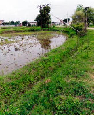 Risk: | धोका :