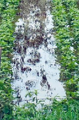 320 crore loss | ३२० कोटींचे नुकसान