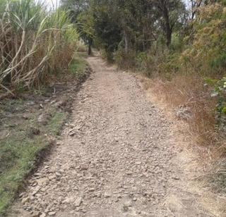 On the remaining paper on Panand Road | पाणंद रस्ते उरले कागदावर