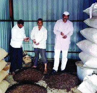 Eat fruits; But give the seeds! | फळे खा; पण बिया द्या!