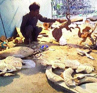 Artificial art of 'Nimba' identification! | काष्ठशिल्प कला हीच ‘निंबा’ची ओळख!