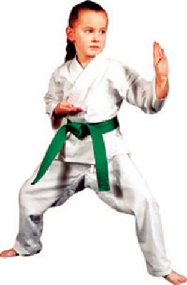 Where did the girls go to karate training? | मुलींचे कराटे प्रशिक्षण गेले कुठे ?