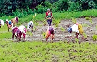 Varunatoya! But where? | ‘वरूणराजा’ बरसतोय! पण कुठे?