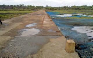 The low Wardha project is a tough one | निम्न वर्धा प्रकल्पाची वाट खडतर