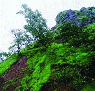 The ravine below the Khubalda basuja of Raigad Fort collapsed | रायगड किल्ल्याच्या खुबलढा बुरुजाखालील दरड कोसळली
