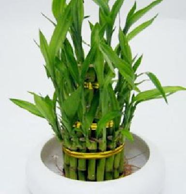 Vastu Tips Part 3 | वास्तू टिप्स भाग 3 Vastu Tips Part 3 | वास्तू टिप्स भाग 3