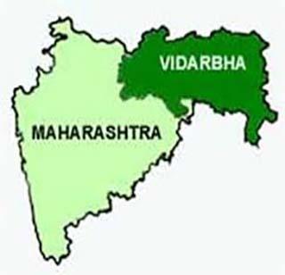 Make a separate Congress committee for Vidarbha - Madhukar Pratikar | विदर्भासाठी वेगळी काँग्रेस कमिटी बनवा - मधुकर किंमतकर Make a separate Congress committee for Vidarbha - Madhukar Pratikar | विदर्भासाठी वेगळी काँग्रेस कमिटी बनवा - मधुकर किंमतकर
