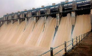 The four dams opened | चार धरणांची दारे उघडली