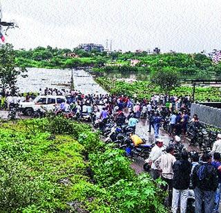 Cats went under the pool | मांजरी पूल गेला पाण्याखाली Cats went under the pool | मांजरी पूल गेला पाण्याखाली