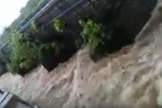 Two families missing from Santacruz, Girgav | सांताक्रूझ, गिरगावातील दोन कुटुंबे बेपत्ता Two families missing from Santacruz, Girgav | सांताक्रूझ, गिरगावातील दोन कुटुंबे बेपत्ता