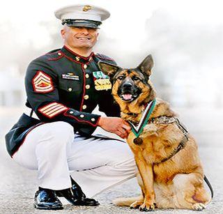 'Lukka' | ‘लुक्का’ 'Lukka' | ‘लुक्का’