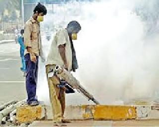 NOW forgot the spraying of smoke to the corporation | महापालिकेला धूर फवारणीचा विसर