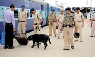 Gharichi eye! | घारीची नजर!