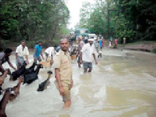 Old Pet Workout: | पुराने पाळीव प्राण्यांचीही कसरत : Old Pet Workout: | पुराने पाळीव प्राण्यांचीही कसरत :