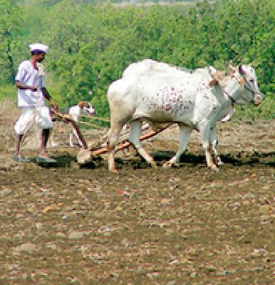 9 7 crore loan allocation | ९७ कोटींचे कर्ज वाटप