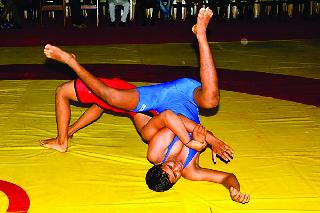 Sawn brace on 'Shahu' | ‘शाहू’वर चटकदार कुस्त्या Sawn brace on 'Shahu' | ‘शाहू’वर चटकदार कुस्त्या