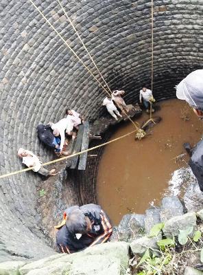 ... finally kill Kalviata | ...अखेर काळवीटाला जीवदान