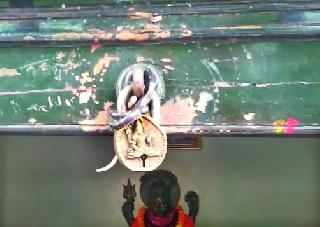 . . . And Nagraj was inevitable | . . . आणि नागराज अवतरले