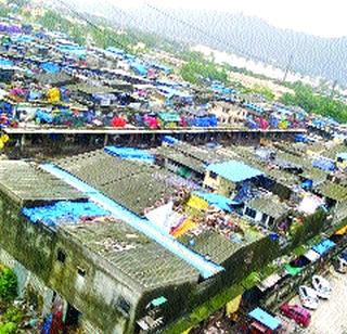 Continuing the journey of APMC towards Ma'pha | मॅफ्कोच्या दिशेने एपीएमसीची वाटचाल सुरू Continuing the journey of APMC towards Ma'pha | मॅफ्कोच्या दिशेने एपीएमसीची वाटचाल सुरू