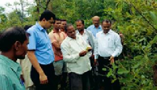 Solar Industry Survey | टसर रेशीम उद्योगाची पाहणी