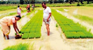 Mechanics have grown to agriculture | यांत्रिकी शेतीकडे वाढला कल