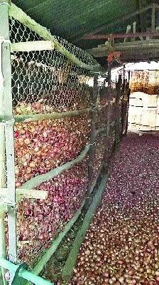 Crisis: There is no money for fertilizers, medicines; There is no credit in the banks, societies | संकट : खते, औषधांसाठी पैसे नाही; बॅँका, सोसायट्यांत पत नाही