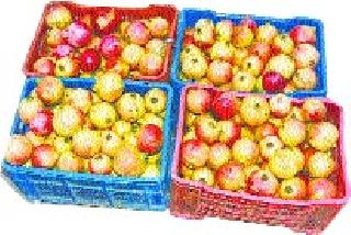 Pimpalgaon Baswant: Improvement in market share | पिंपळगाव बसवंत : बाजारभावातही सुधारणा