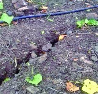 The 'Elephanta' area grew rapidly | ‘एलिफंटा’ परिसरातील तडे वाढले