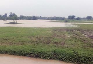 In Darirapur taluka, crops of 1000 hectare in the water | दर्यापूर तालुक्यात हजार हेक्टरमधील पिके पाण्यात In Darirapur taluka, crops of 1000 hectare in the water | दर्यापूर तालुक्यात हजार हेक्टरमधील पिके पाण्यात