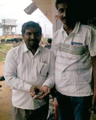 Sand found in the 'DAP' field | ‘डीएपी‘ खतात आढळली रेती Sand found in the 'DAP' field | ‘डीएपी‘ खतात आढळली रेती