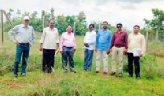 Committee on Warehousing Committee inspection | विद्यापीठासाठीच्या जागेची वनहक्क समितीकडून पाहणी