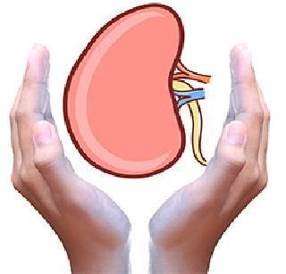 Who is preventing Kidney trafficking? | किडनी तस्करीचा तपास रोखतय तरी कोण ? Who is preventing Kidney trafficking? | किडनी तस्करीचा तपास रोखतय तरी कोण ?