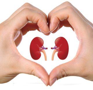 VIDEO- ... here is selling kidneys! | VIDEO- ...येथे किडनी विकणे आहे ! VIDEO- ... here is selling kidneys! | VIDEO- ...येथे किडनी विकणे आहे !