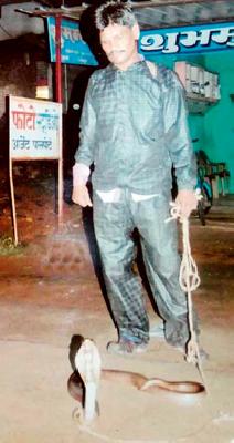 Save the thousands snakes | संजूने दिले हजारो सापांना जीवदान Save the thousands snakes | संजूने दिले हजारो सापांना जीवदान