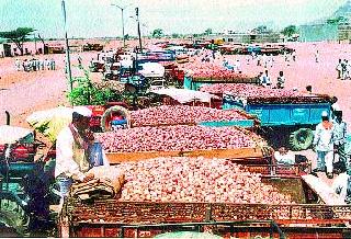 Onion prices have collapsed | कांद्याचे भाव गडगडले