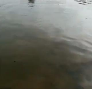 In Wari, Doha has 168 victims | वारी येथील डोहामध्ये गेले आत्तापर्यंत १६८ बळी In Wari, Doha has 168 victims | वारी येथील डोहामध्ये गेले आत्तापर्यंत १६८ बळी