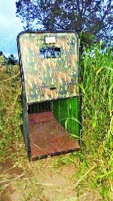 Due to dizziness in Mussalgaon Shivar | मुसळगाव शिवारात बिबट्याची दहशत