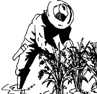 Soya bean productive farmer without help! | लाखावर सोयाबीन उत्पादक शेतकरी मदतीविना ! Soya bean productive farmer without help! | लाखावर सोयाबीन उत्पादक शेतकरी मदतीविना !