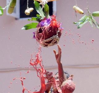 The eight layers for the 20-fold handcuffs, the demand for the shoes | 20 फुटांच्या हंडीला लागणार आठ थर, बुटक्यांना मागणी The eight layers for the 20-fold handcuffs, the demand for the shoes | 20 फुटांच्या हंडीला लागणार आठ थर, बुटक्यांना मागणी